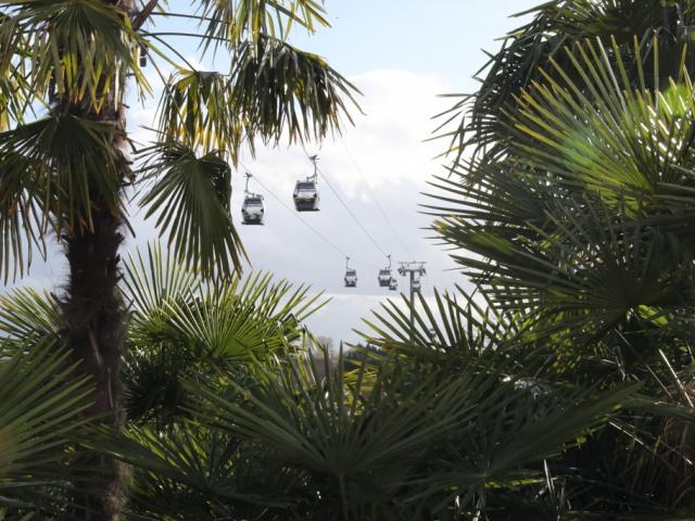 Telecabine Nuages De Beauval Nouveautes 2019