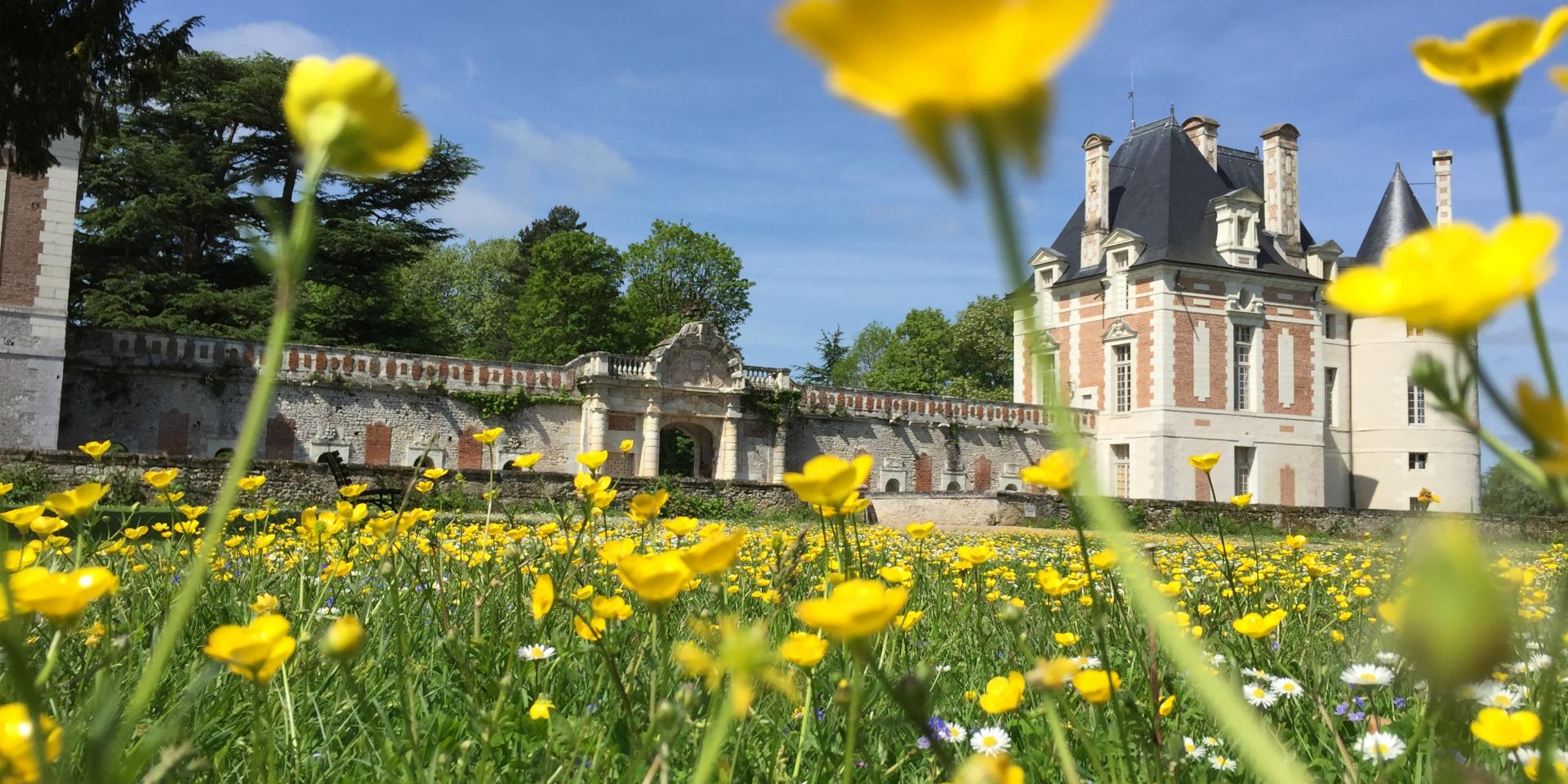 Destination Villes Village Chateau Selles Sur Cher