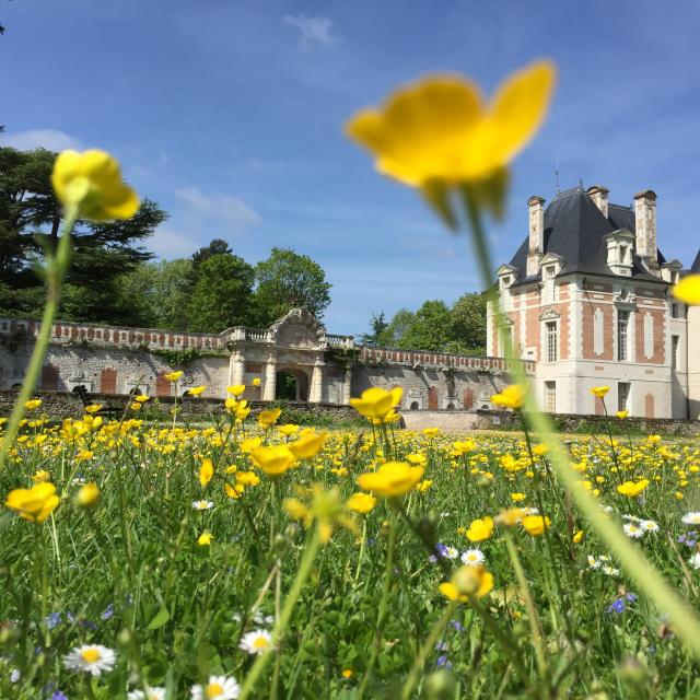 Destination Villes Village Chateau Selles Sur Cher