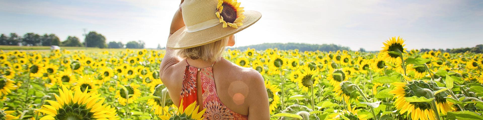 Destination Séjour Visite Sud Val De Loire