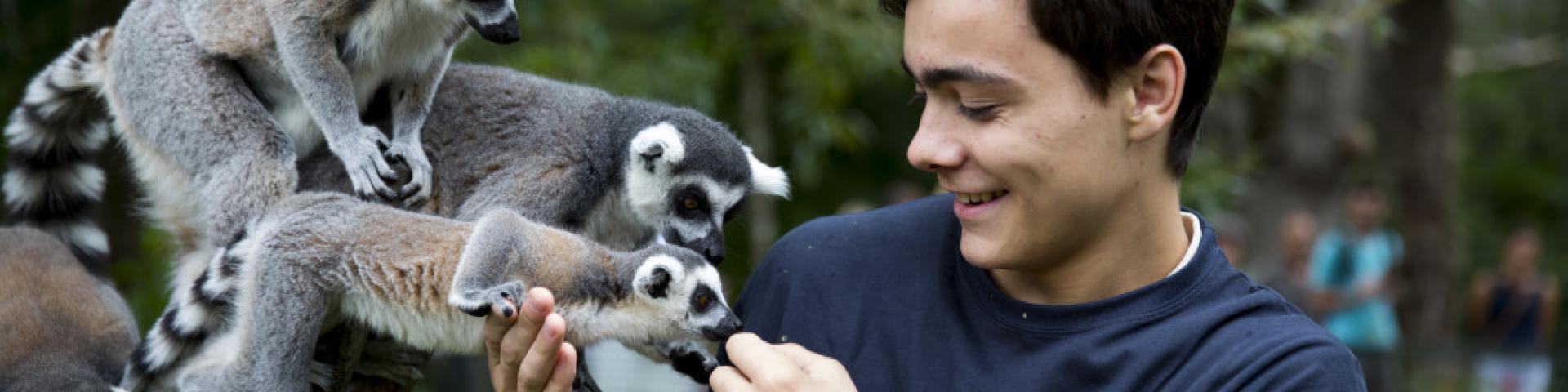 Fan Animaux Autres Parcs