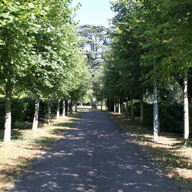 Allée du Parc du Vaulx Saint-Georges à Thésée
