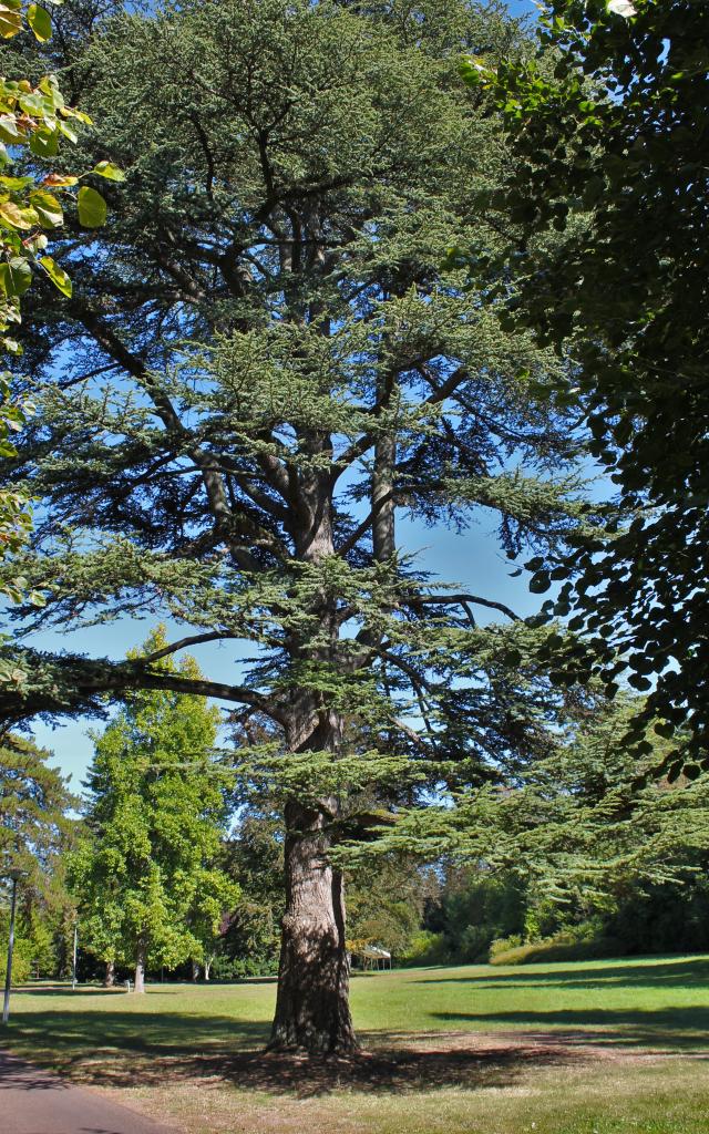 Parc Vaulx St Georges (5)