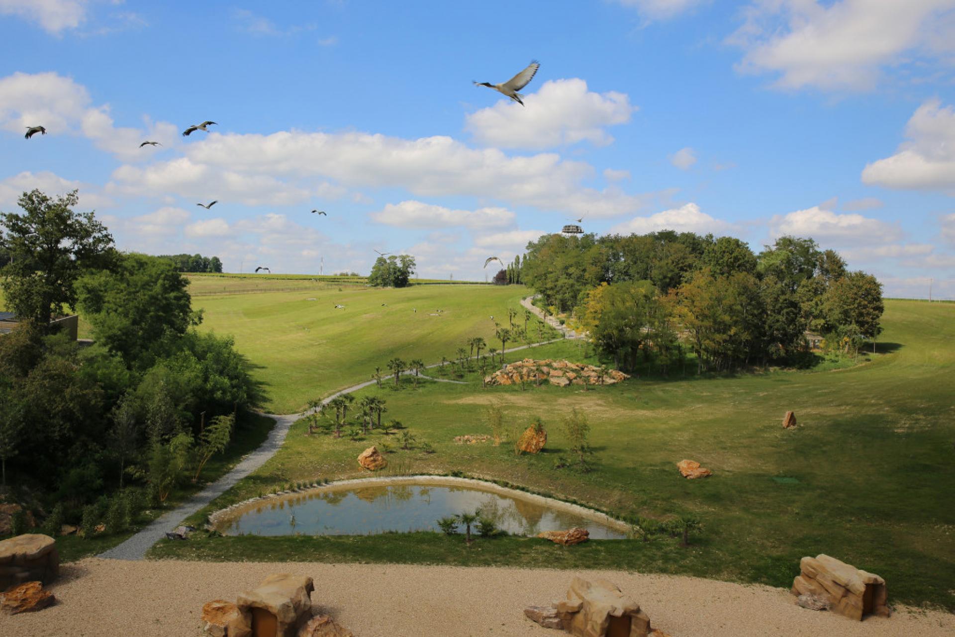 ZOO PARC DE BEAUVAL Sud Val de Loire Tourisme