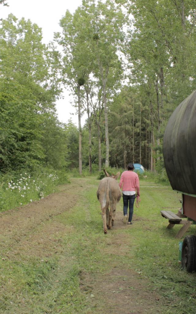 Idées pour les famille : sortie cinéma