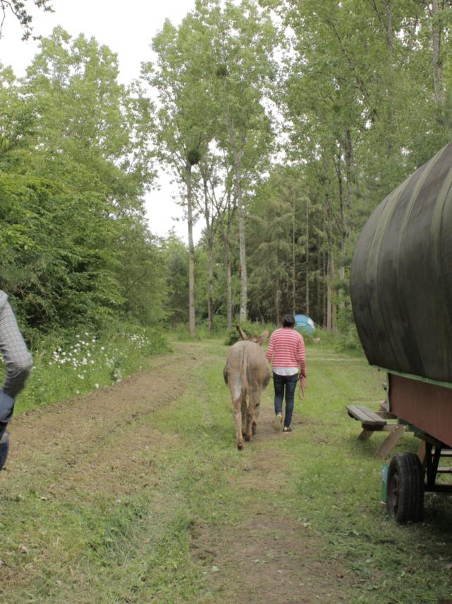 Idées pour les famille : sortie cinéma