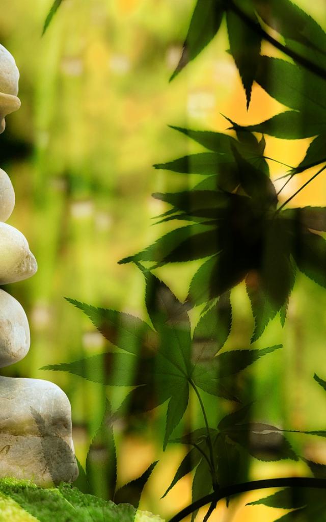 Clientele Zen&nature Bandeau