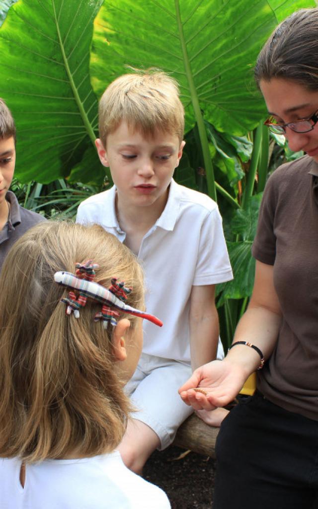Rende-vous pédagogique avec un soigneur au Zooparc De Beauval