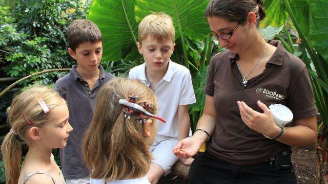 Rende-vous pédagogique avec un soigneur au Zooparc De Beauval