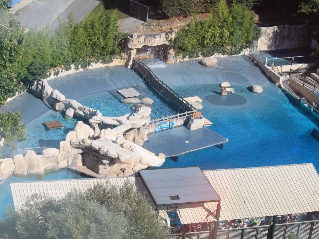 Zoo De Beauval Amenagements (1)