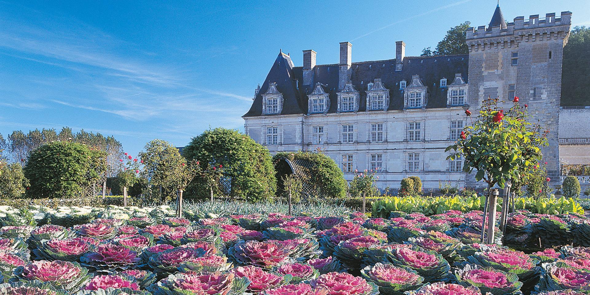 Chateau Jardins Villandry Potager