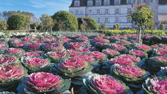 Chateau Jardins Villandry Potager2 Jbleroux Hd (1)