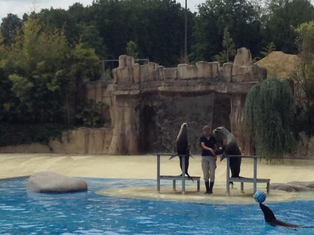 Experience Zoo Beauval Famille Spectacle