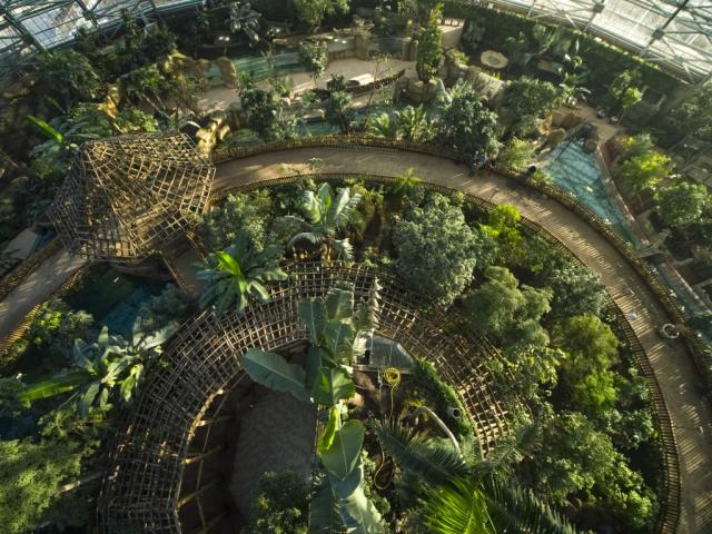 Nouveauté 2020- Zoo Beauval Dome Equatorial