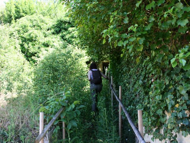 Parcours Vignes Foret Randonnee Pedestre