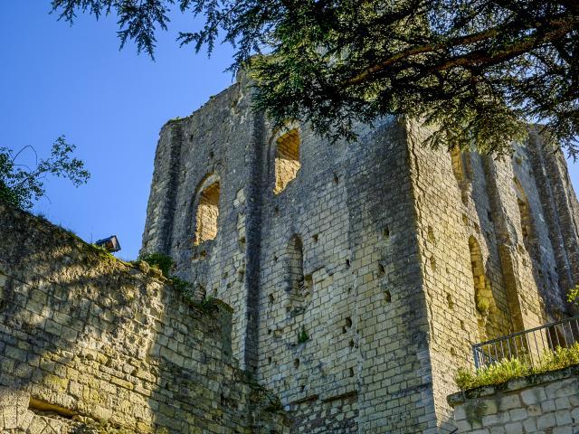 Montrichard Cité Médiévale Non Libre De Droit