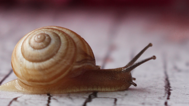 Slow Content - méthodologie de recyclage