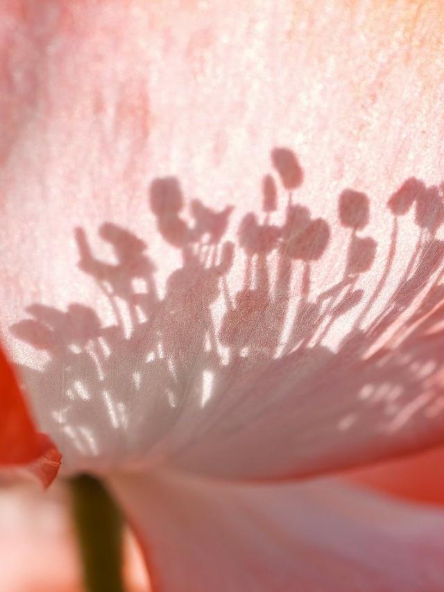 outils-photos-retouche-contenu-réseaux sociaux