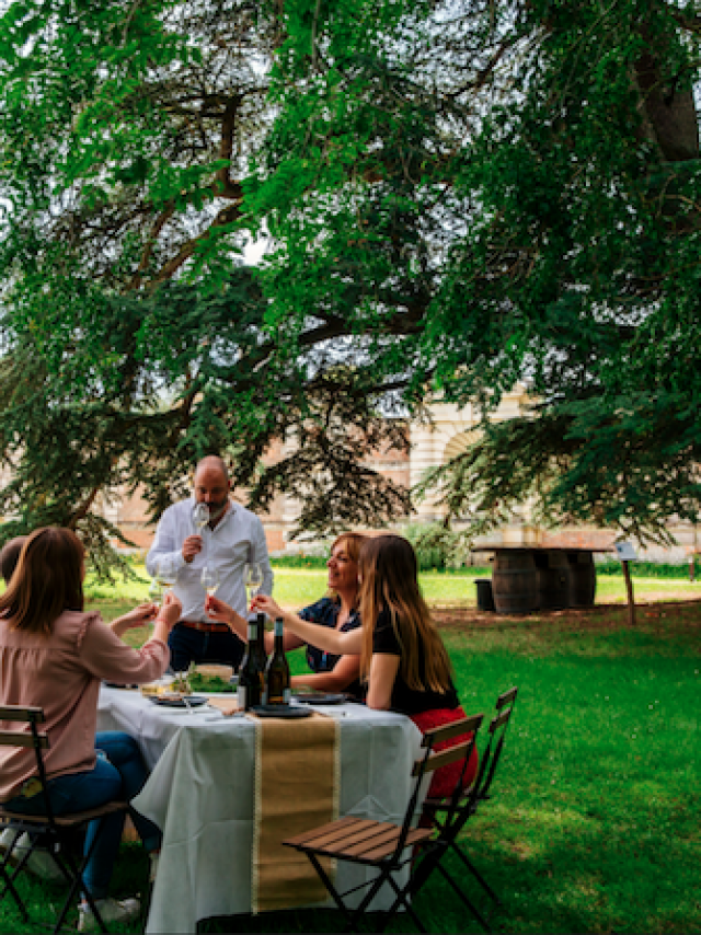 gravit designer, canva, polarr des outils pour booster votre créativité