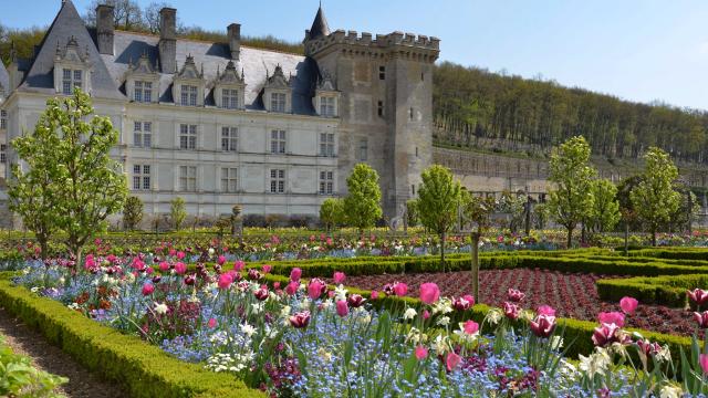 Chateauvillandry Potager Tulipes Credit Photo Chateau Et Jardins