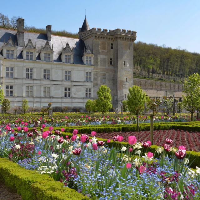 Chateauvillandry Potager Tulipes Credit Photo Chateau Et Jardins
