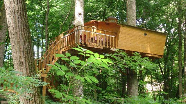 Visuel Cabane Arbre Augis N