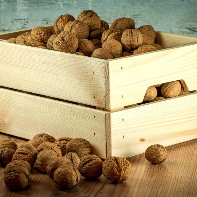 Noix Fuits à Coque - compagnie des saveurs