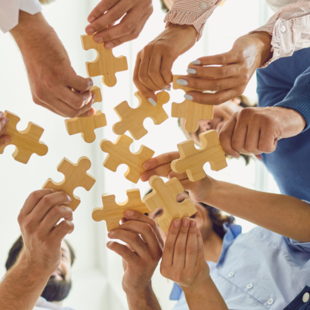 1 Organiser Team Building