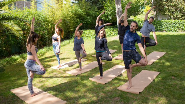 Team Building-cours de yoga - relaxation -detente