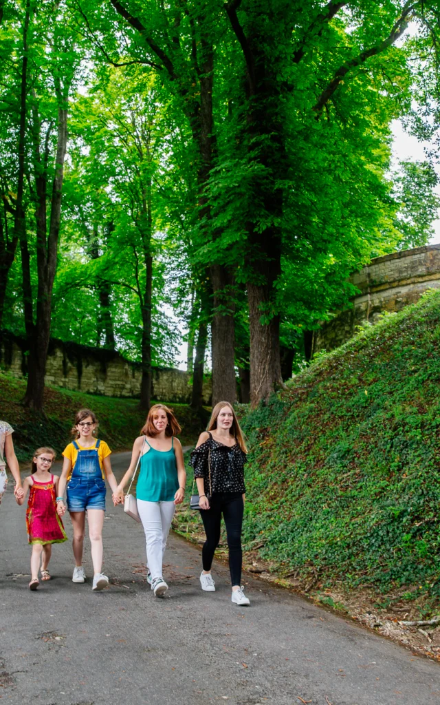 Decouverte De Saint Aignan En Famille Ete 2021