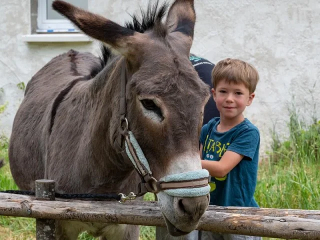 Jeune garçon avec à ses côtés un âne des Anes de Madame, à Contres en Sud Val de Loire