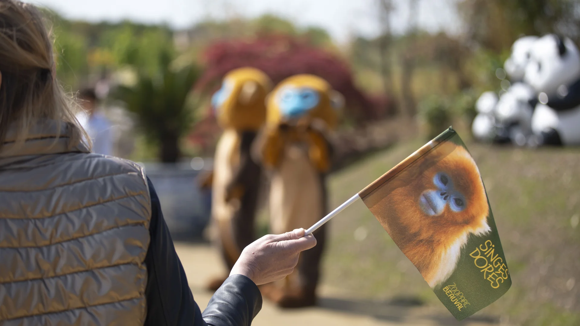 B1a9518 Avec Accentuation Nr 681b6cba713aa