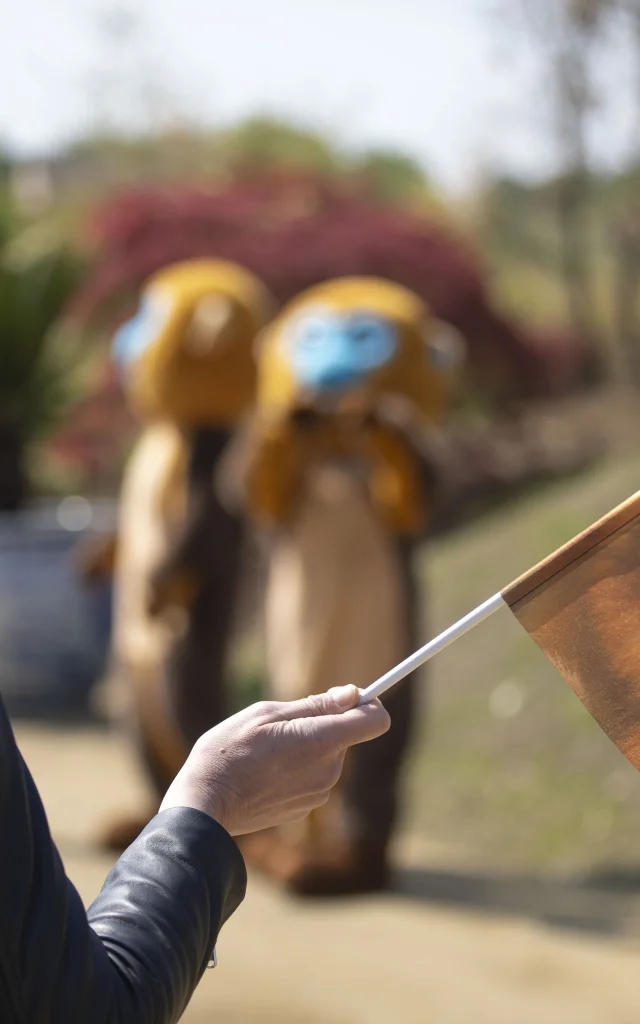 B1a9518 Avec Accentuation Nr 681b6cba713aa