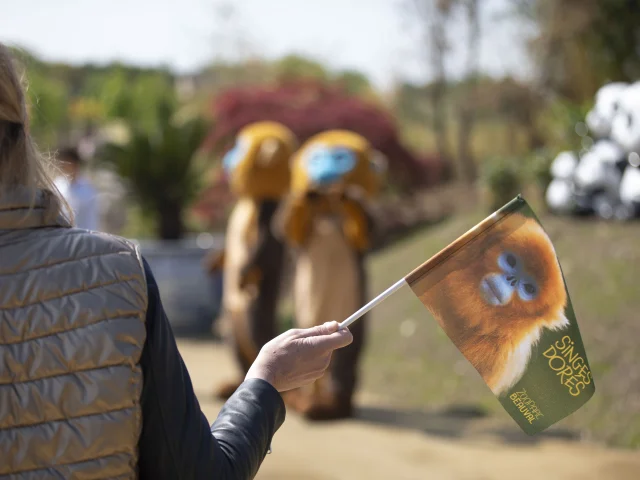 B1a9518 Avec Accentuation Nr 681b6cba713aa