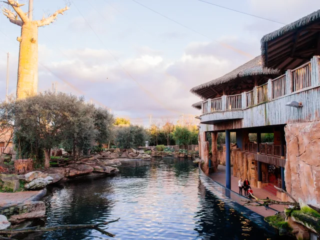 Zoo Beauval Sud Val De Loire Agence Les Conteurs 41