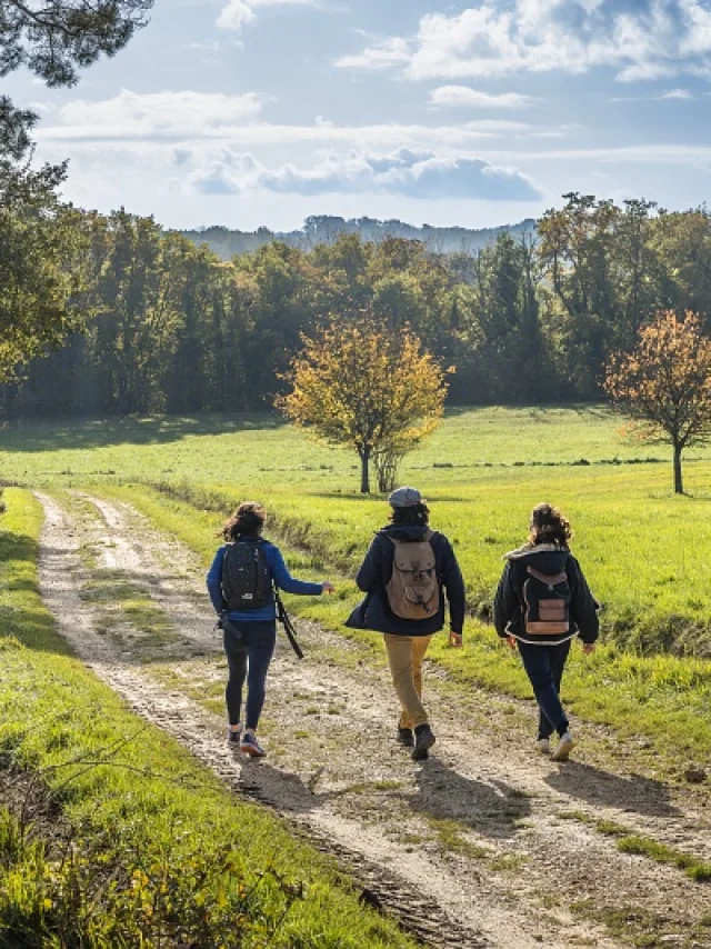 Trois personnes marchent ensemble dans une prairie verdoyante, entourées de forêts d'automne, sous un ciel clair.